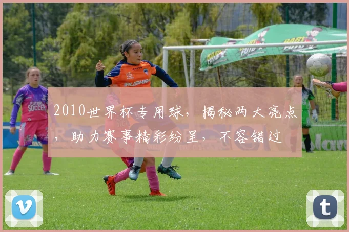 2010世界杯专用球，揭秘两大亮点，助力赛事精彩纷呈，不容错过