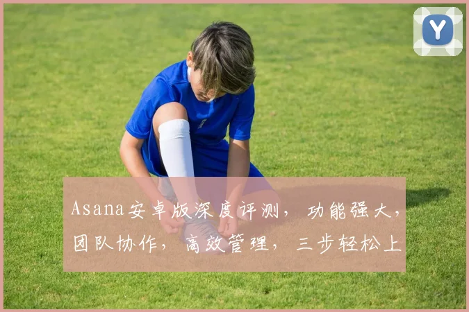 Asana安卓版深度评测，功能强大，团队协作，高效管理，三步轻松上手，体验工作新境界