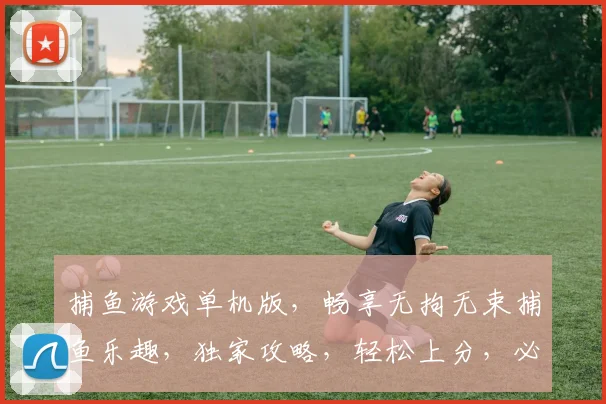 捕鱼游戏单机版，畅享无拘无束捕鱼乐趣，独家攻略，轻松上分，必看