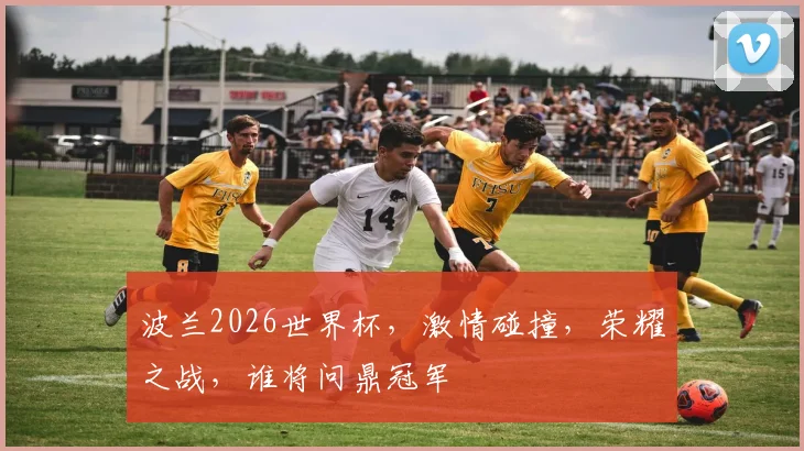 波兰2026世界杯，激情碰撞，荣耀之战，谁将问鼎冠军