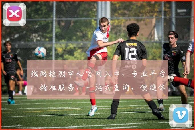 线路检测中心官网入口，专业平台，精准服务，一站式查询，便捷体验，三步直达