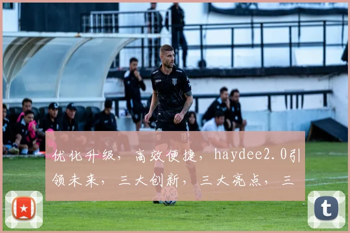 优化升级，高效便捷，haydee2.0引领未来，三大创新，三大亮点，三大优势